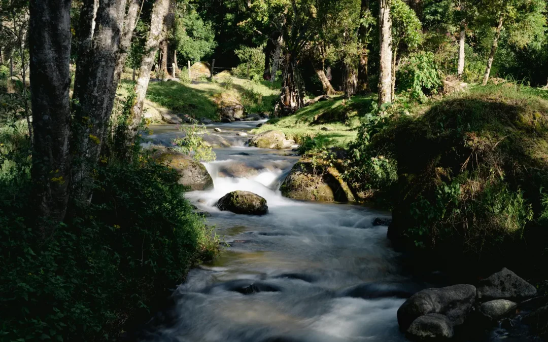 Comprendre un rêve de rivière: symbole et interprétation